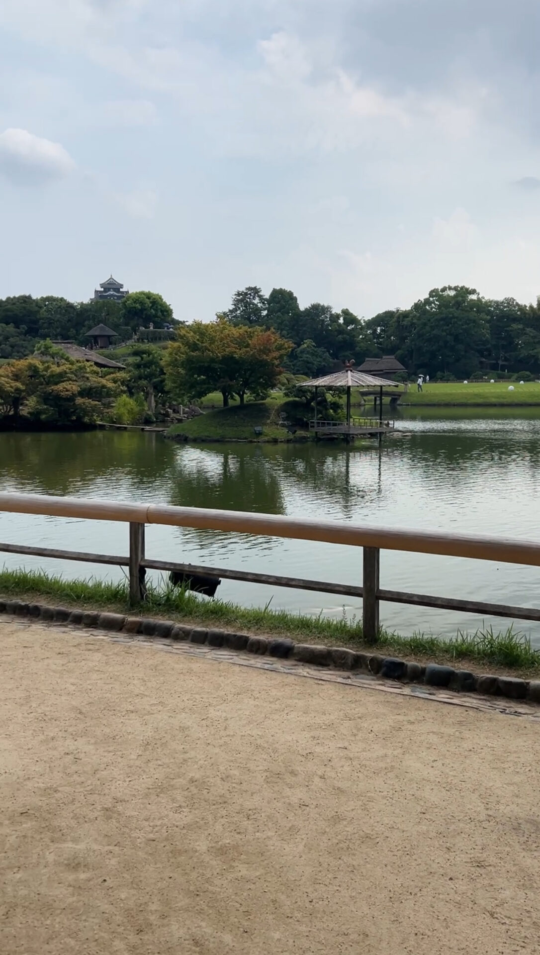 夏休みはチャンス！