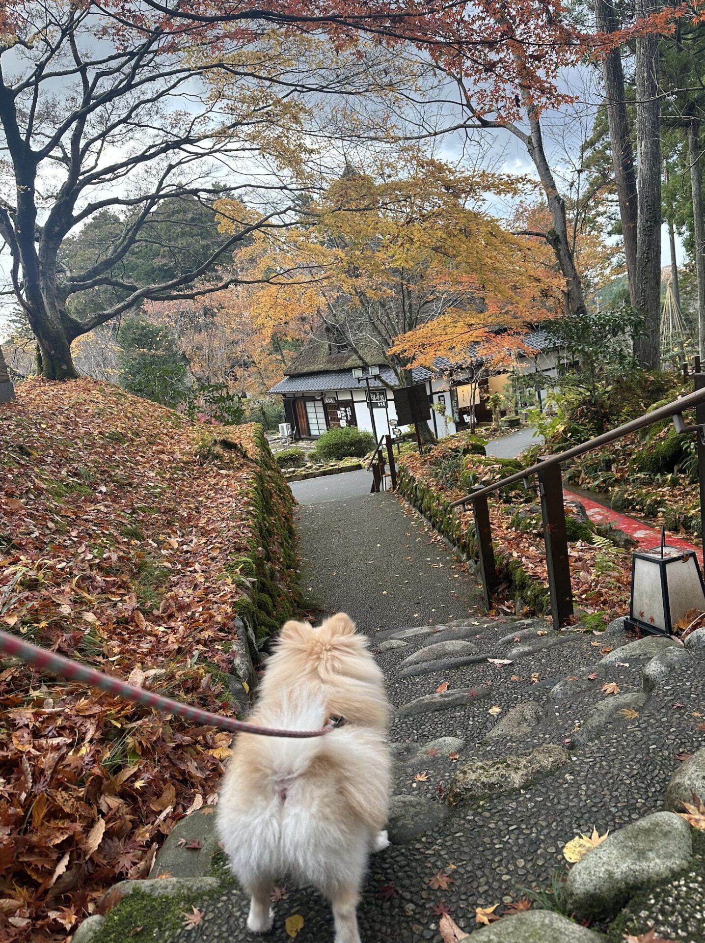 【9月こそ始めどき】秋の夜長に、自分らしく稼げる「チャットレディ」